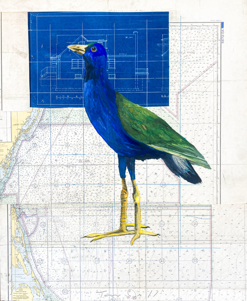 Tom Judd mixed media artwork of bird over map and architectural drawing