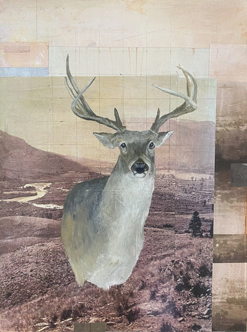 Deer suspended against American west landscape